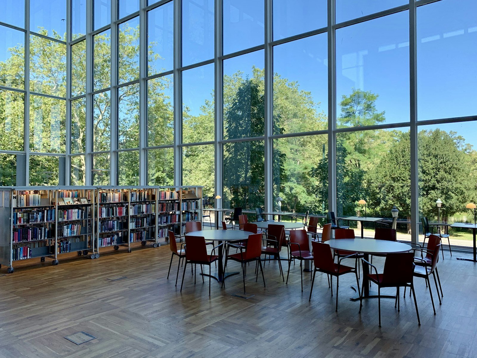 Library with a glass wall